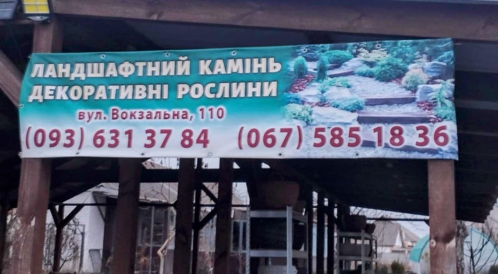 IMG-20250303-WA0003-EDIT